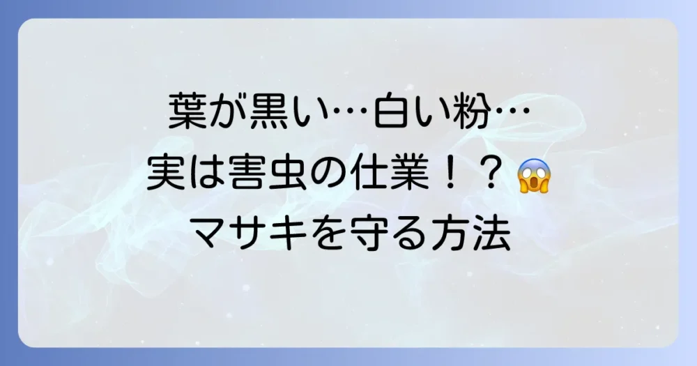 害虫が原因?マサキに起こる二次被害と病気