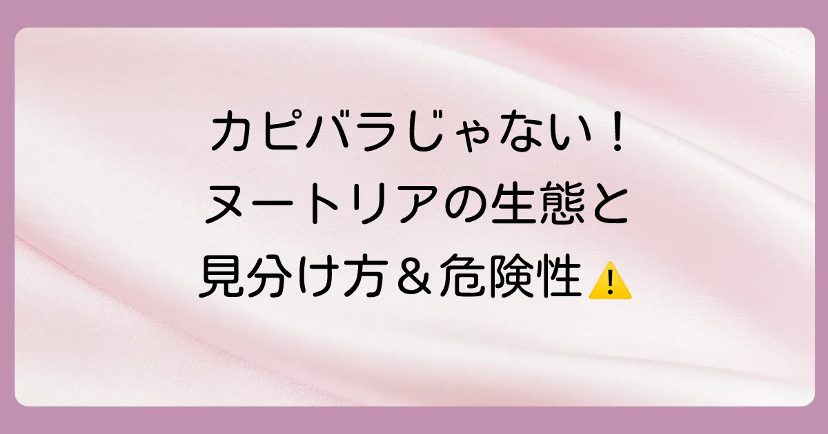 そもそもヌートリアってどんな生き物?生態と見分け方