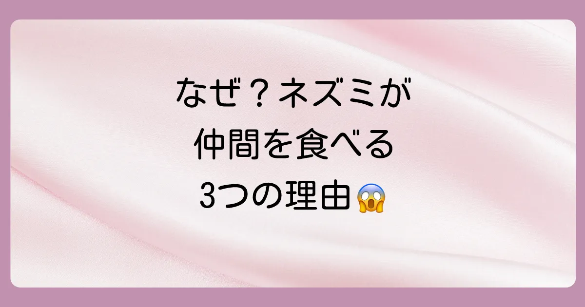 なぜ?ネズミが粘着シートで仲間を共食いする3つの理由