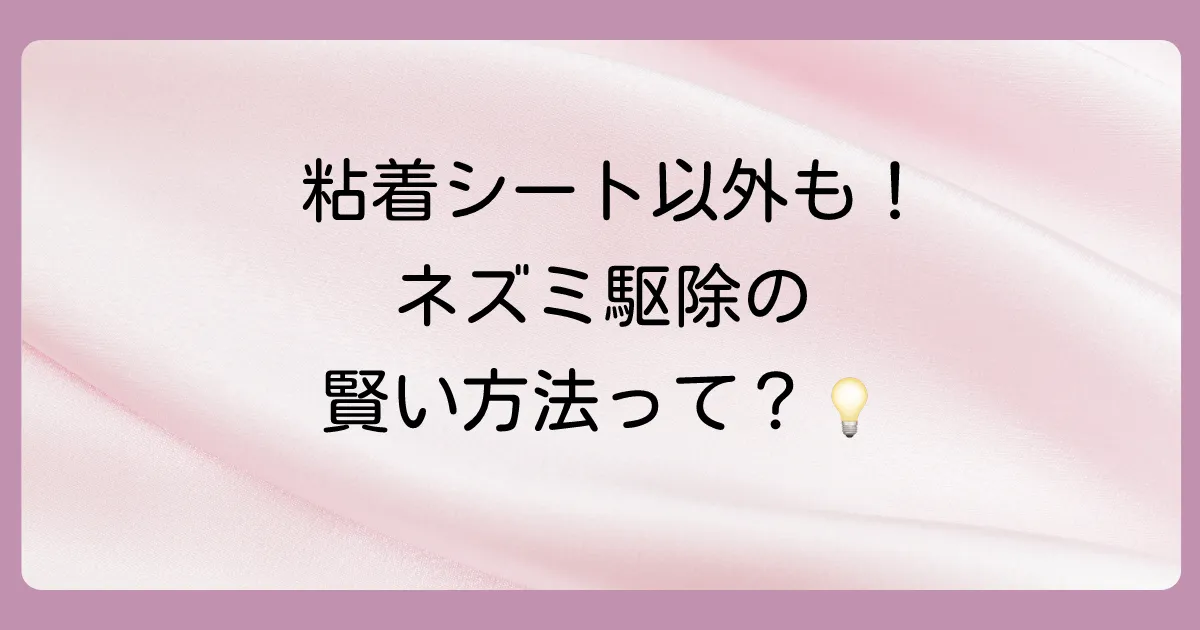 粘着シートは最終手段?その他のネズミ駆除方法