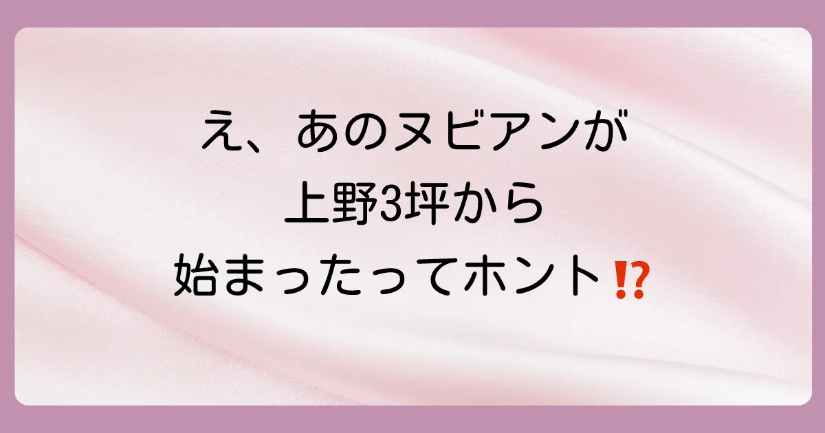 ヌビアン成功の軌跡|上野の3坪から始まった物語
