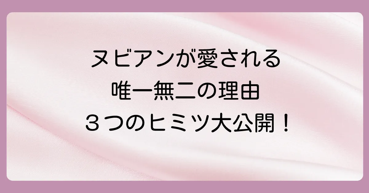 なぜヌビアンは支持されるのか?唯一無二の3つの強み
