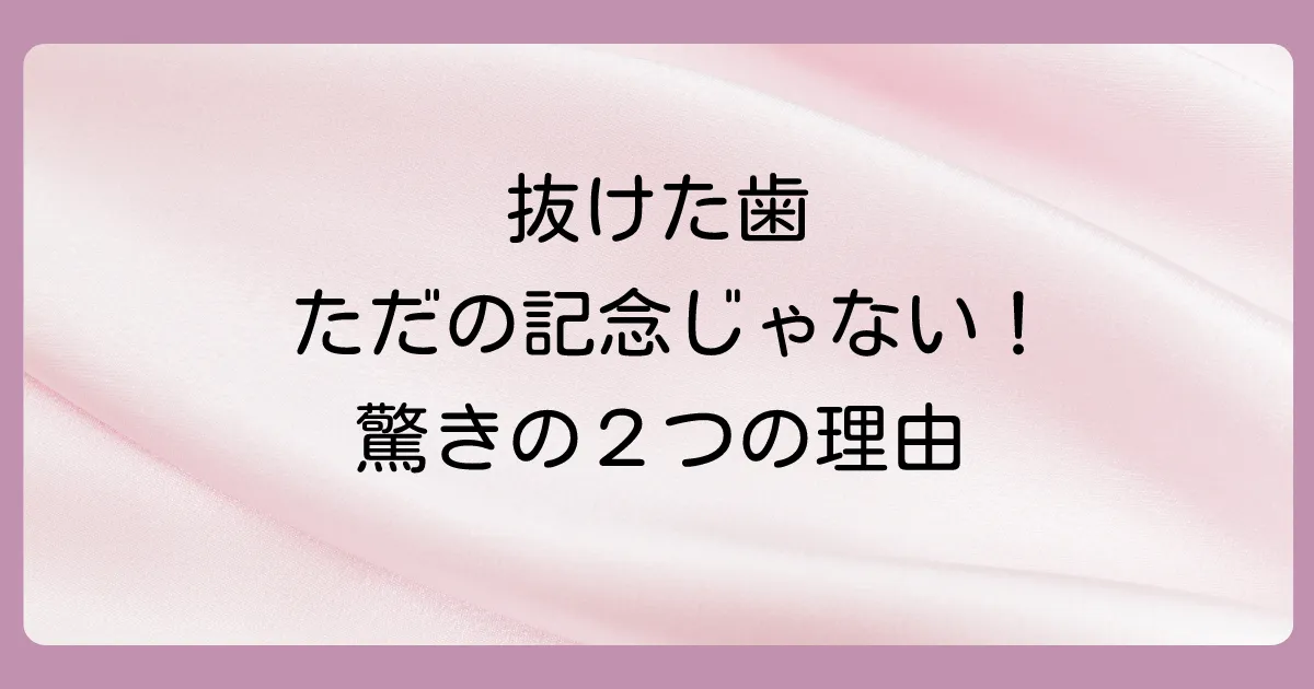 なぜ抜けた歯を保存するの?主な2つの目的