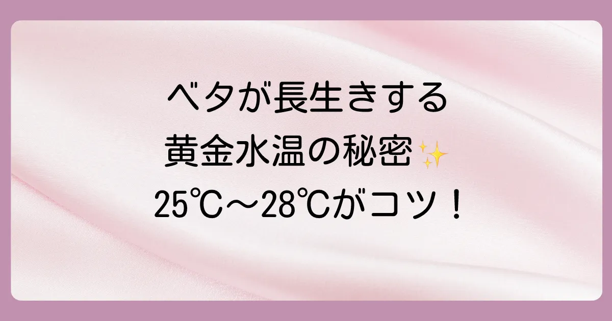 ベタにとっての理想的な水温は25℃~28℃