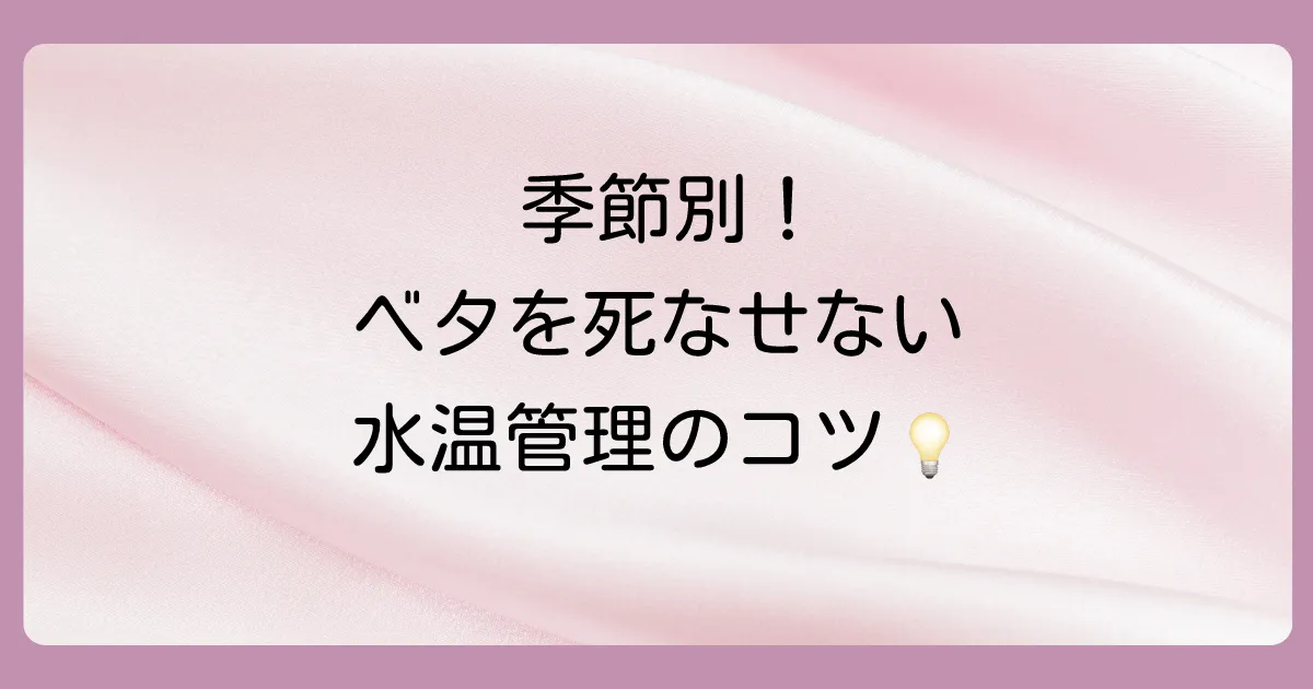 季節別!ベタを死なせないための水温管理術