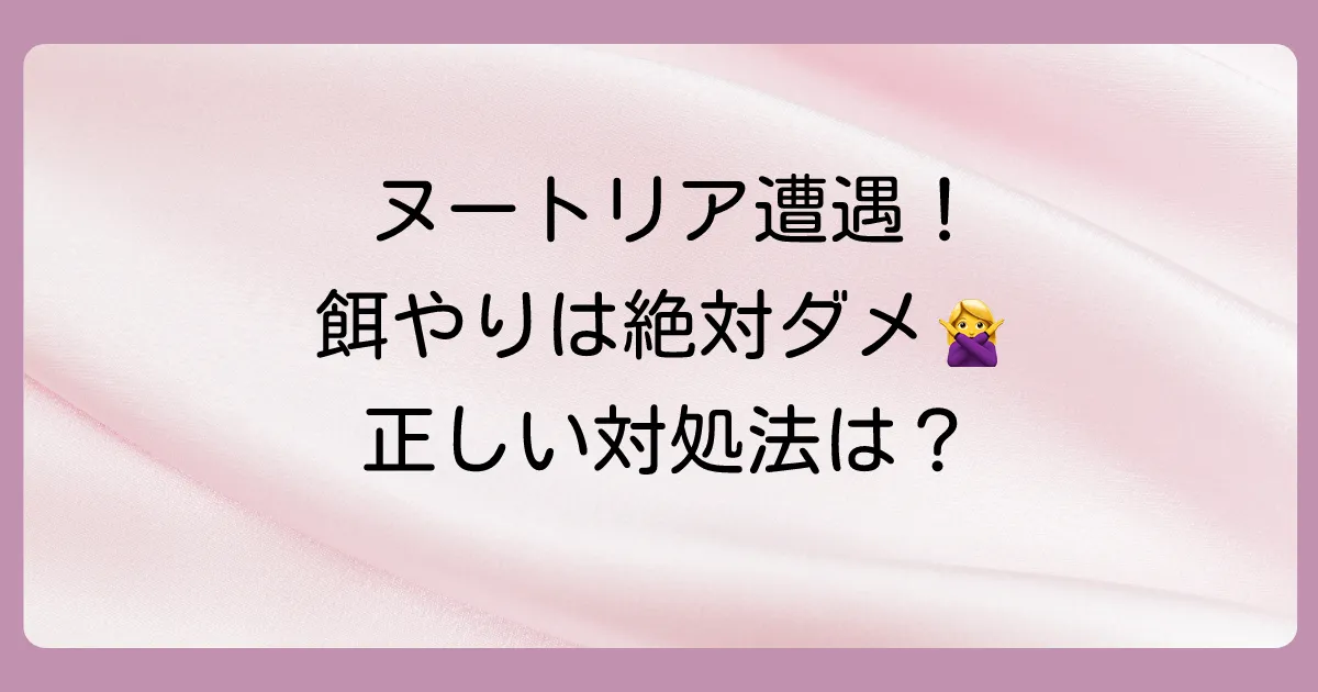 もしヌートリアに遭遇したら?正しい対処法