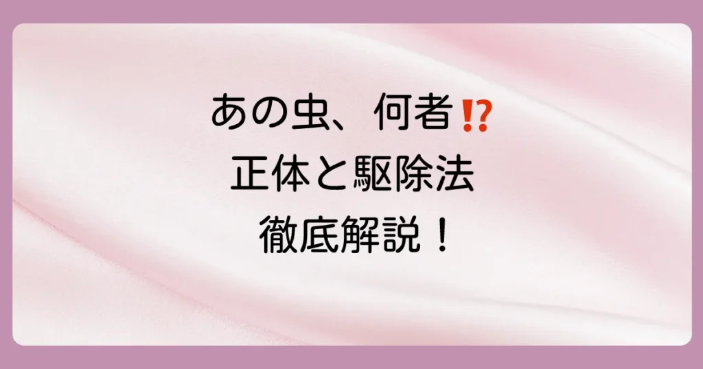 家の中の黒い小さい丸い虫の正体は?飛ばない虫の駆除方法と予防策を徹底解説