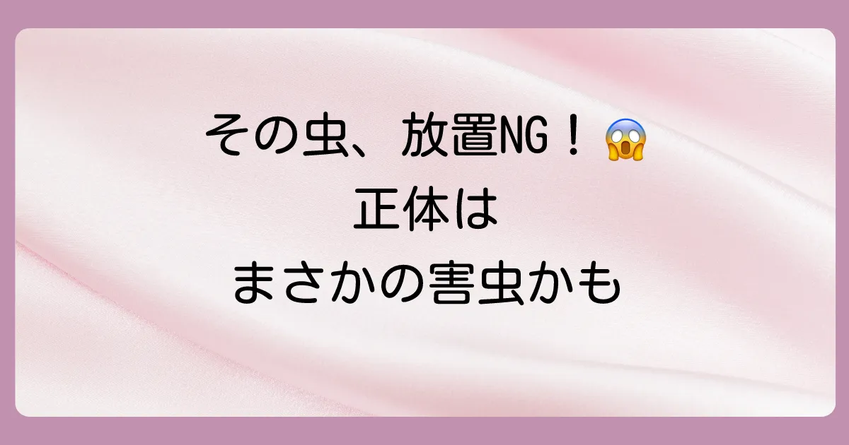 家の中にいる黒い小さい丸い虫の正体