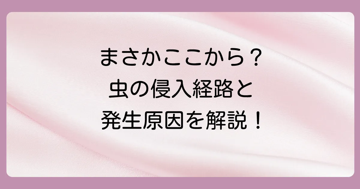 なぜ家の中に発生するの?主な原因と侵入経路