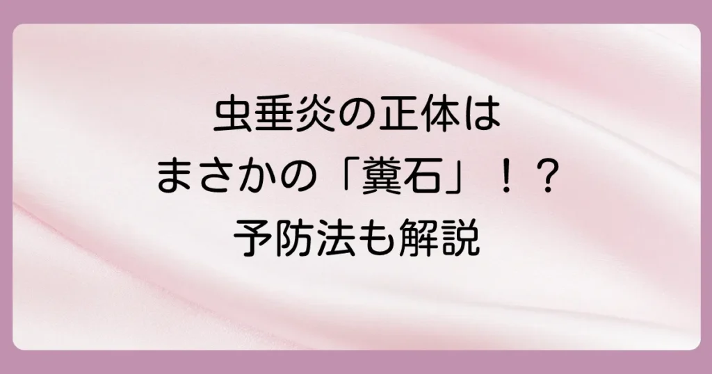 虫垂炎の最大の原因「糞石」とは？できる仕組みから症状、予防法まで徹底解説