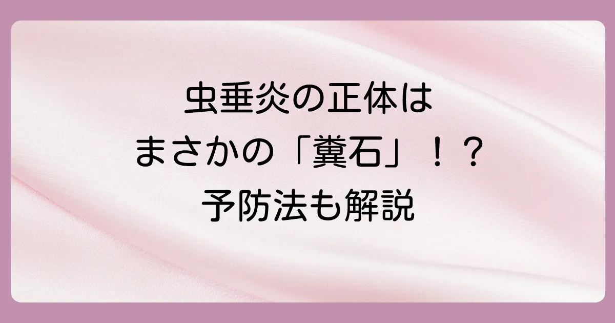 虫垂炎の最大の原因「糞石」とは?できる仕組みから症状、予防法まで徹底解説
