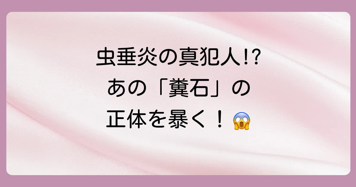 虫垂炎と糞石の気になる関係性