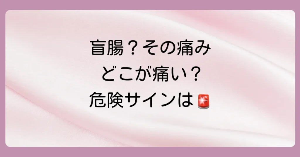 盲腸で痛む場所はどこ？右下腹部？みぞおち？痛みの特徴と初期症状、病院へ行くべきサインを徹底解説