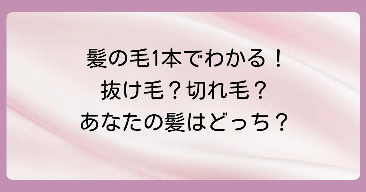 まずはセルフチェック!あなたの髪は「抜け毛」?「切れ毛」?
