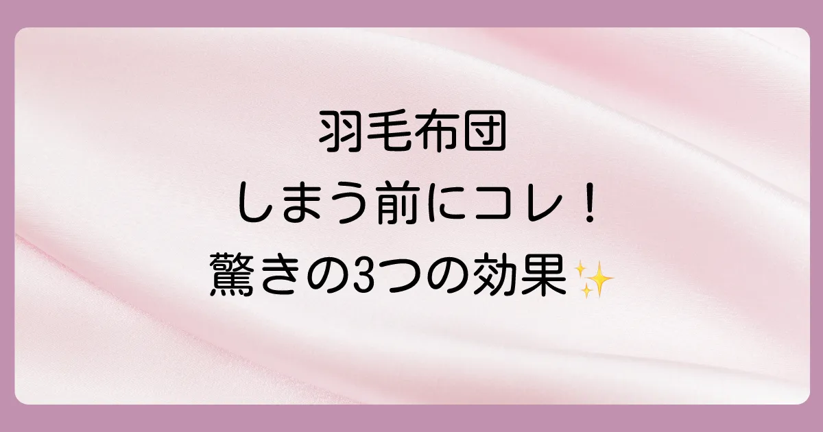 羽毛布団をしまう前に布団乾燥機を使うべき3つの理由