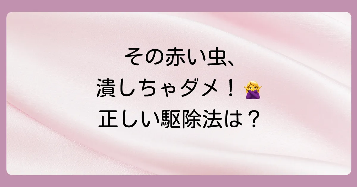 【状況別】赤い細長い虫（タカラダニ）の正しい駆除方法