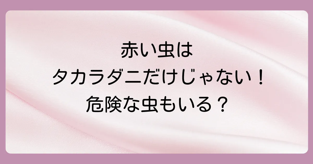 タカラダニ以外の可能性も？似ている赤い虫