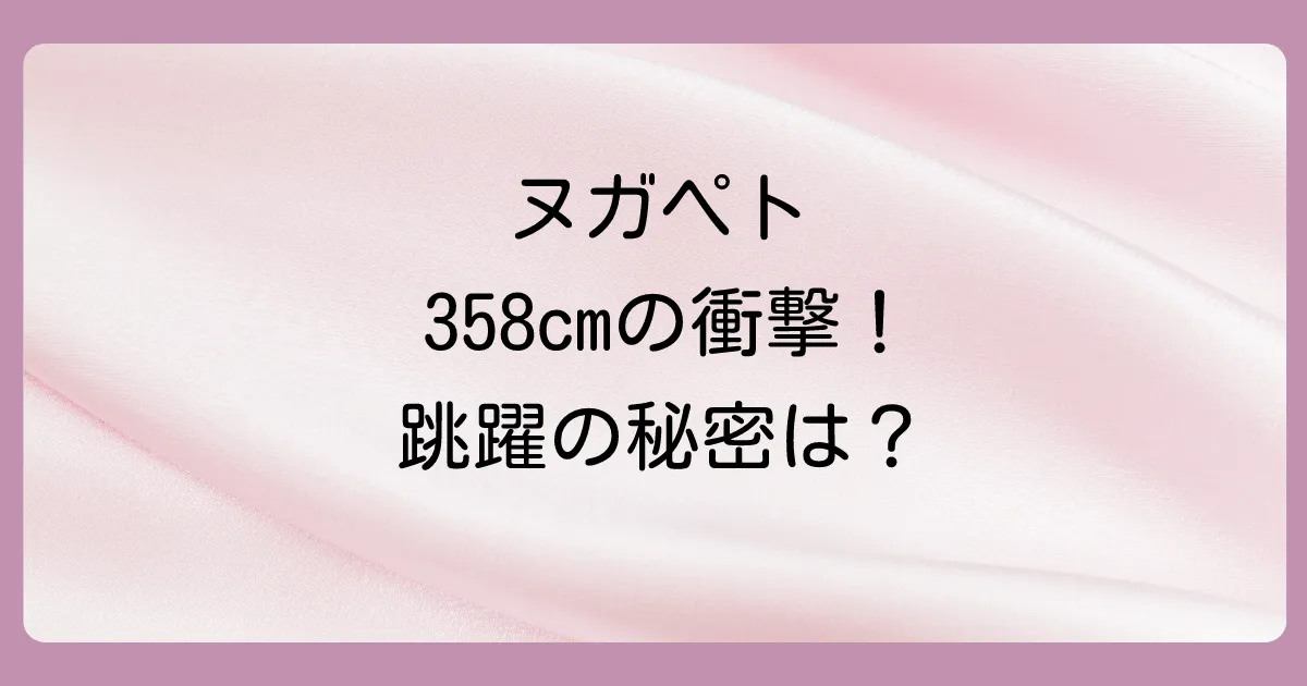 ヌガペトの最高到達点は？驚異のジャンプ力とスパイクの秘密を徹底解説！
