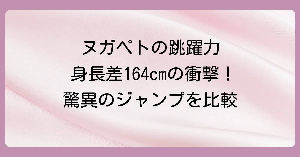 ヌガペトの最高到達点はどれくらい凄いの?他選手と比較
