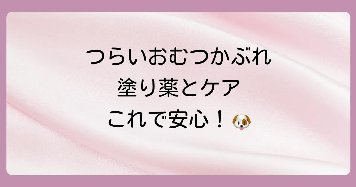 つらい犬のおむつかぶれ…おすすめの塗り薬と自宅でできるケア方法【原因と予防法も】