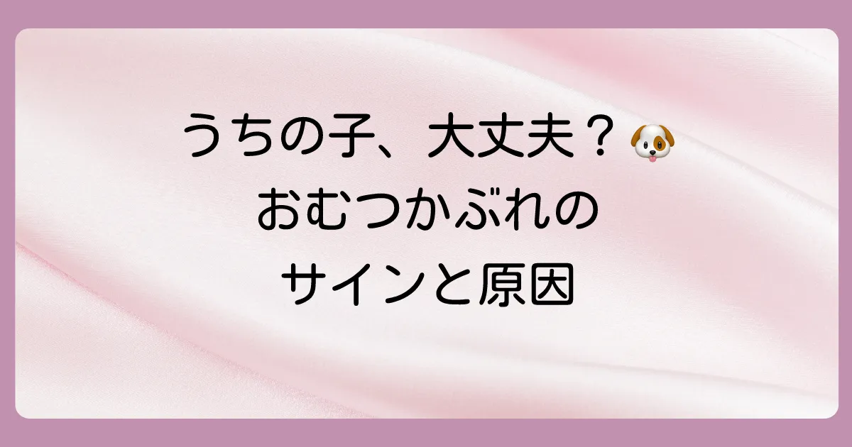 まずは確認！犬のおむつかぶれの症状と原因