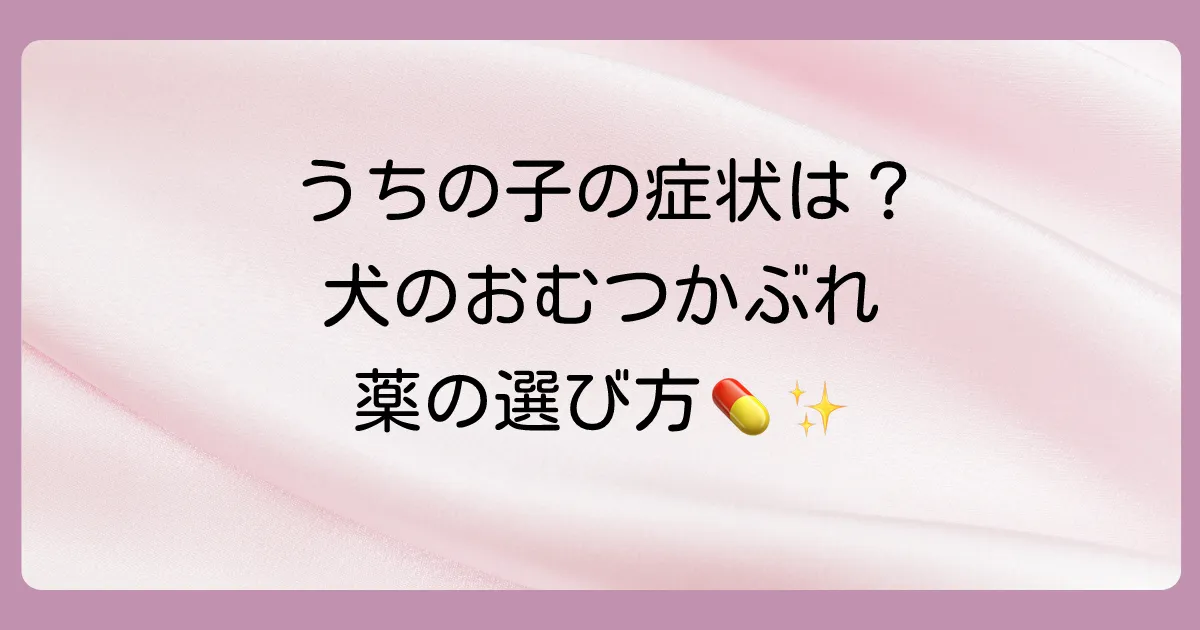 【症状レベル別】犬のおむつかぶれに使う塗り薬の選び方