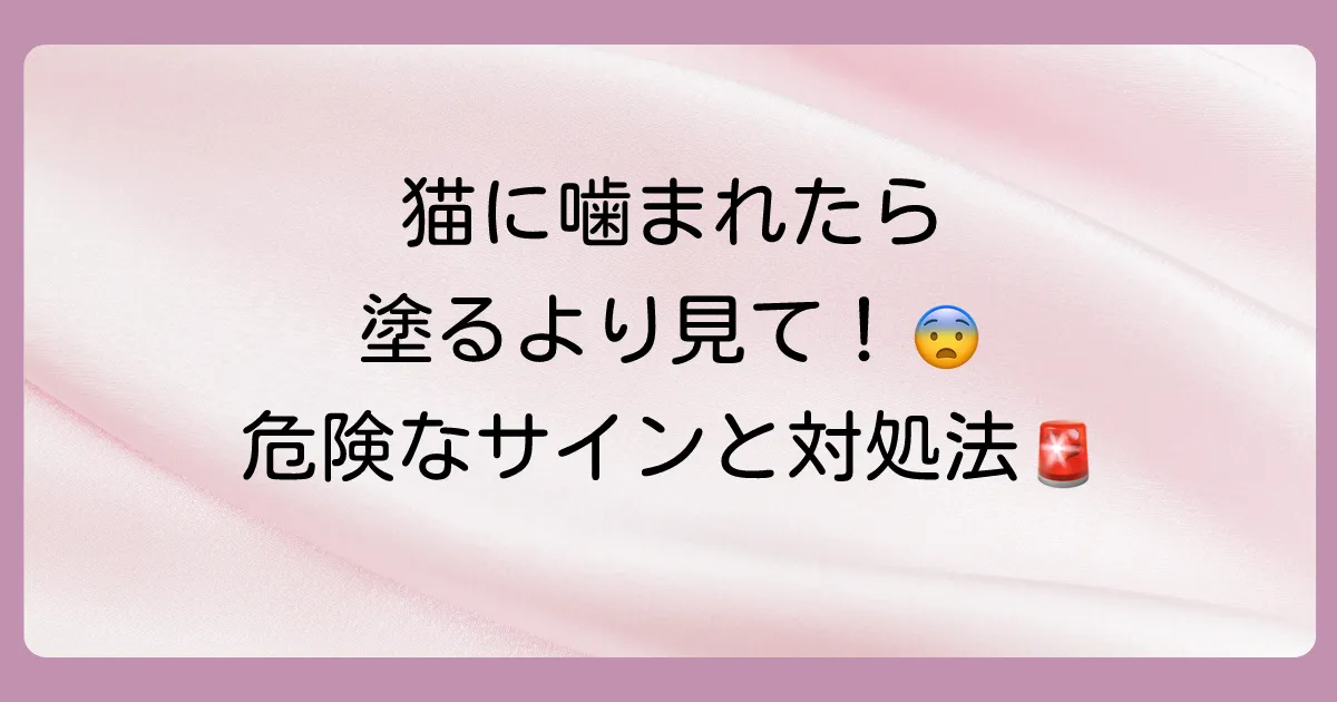 猫に噛まれた！塗り薬はどれがいい？市販薬の選び方と病院に行くべき危険なサインを徹底解説