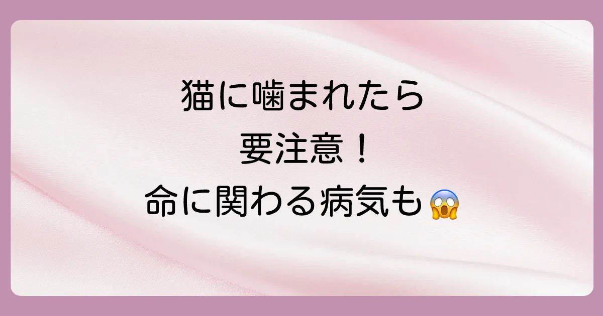 猫の咬み傷で注意すべき怖い感染症