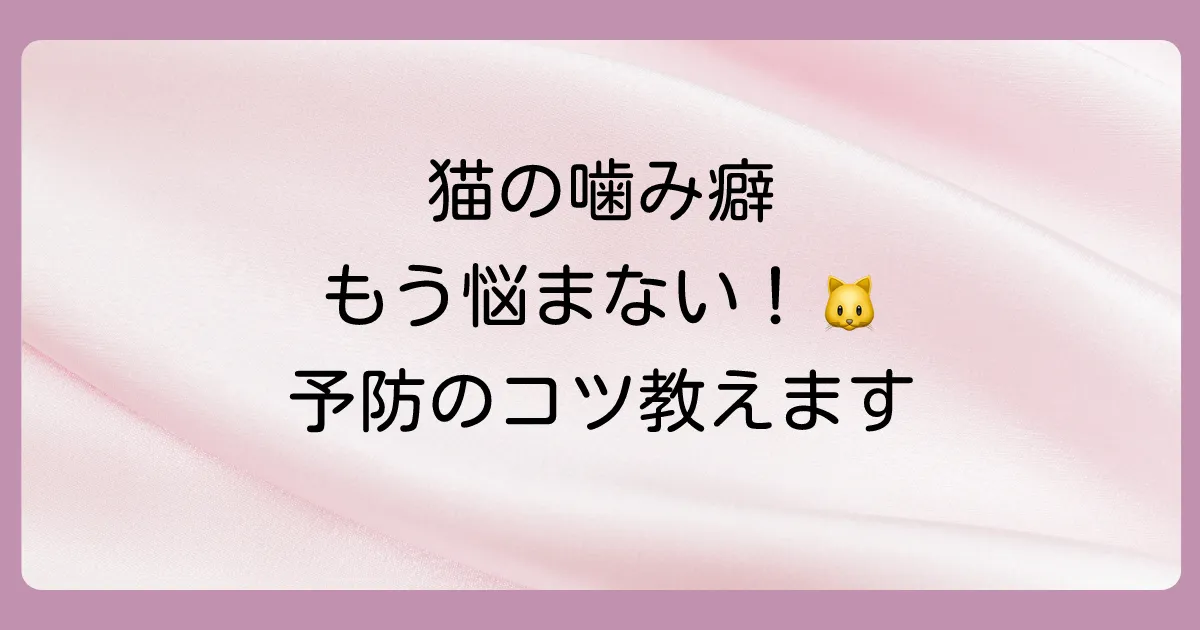 猫に噛まれないために！普段からできる予防策