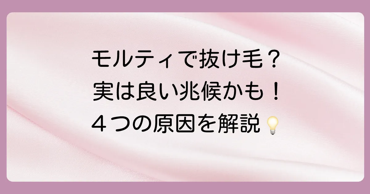 なぜ？モルティで抜け毛が増えたと感じる4つの原因