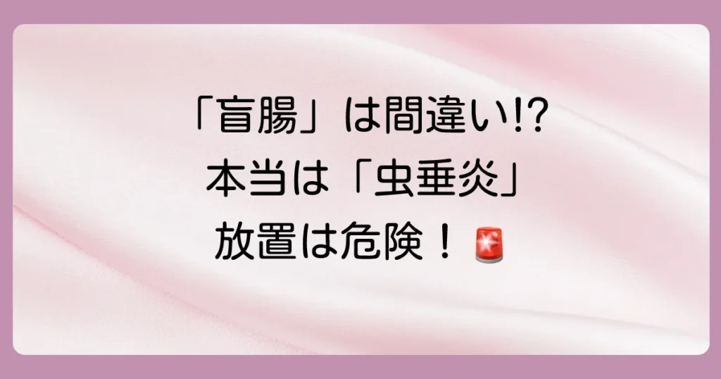 盲腸炎と虫垂炎の違いは？実は違う病気！症状・原因から治療法まで分かりやすく解説