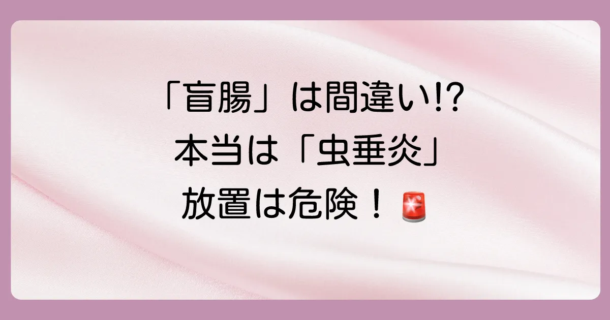 盲腸炎と虫垂炎の違いは?実は違う病気!症状・原因から治療法まで分かりやすく解説