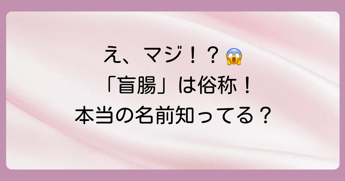 【結論】「盲腸(盲腸炎)」は俗称!正しくは「急性虫垂炎」です
