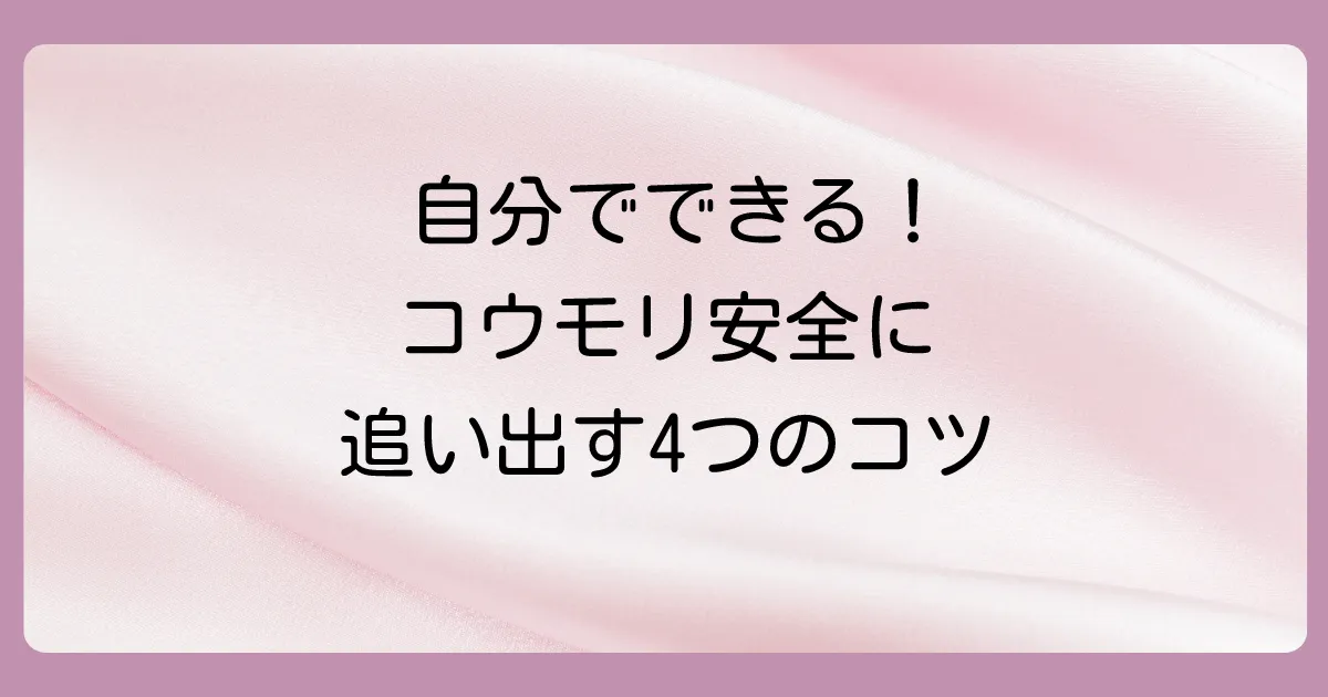 【自分でできる】コウモリを安全に追い出すための正しい対策4ステップ