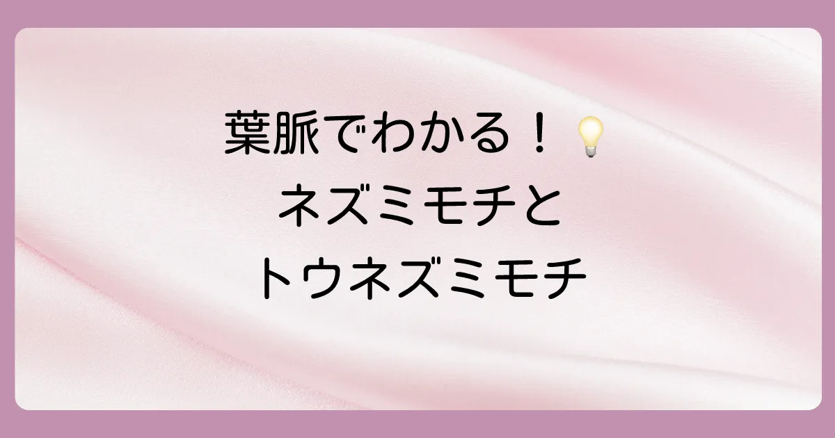 まずは結論！ネズミモチに一番似ているのはトウネズミモチ