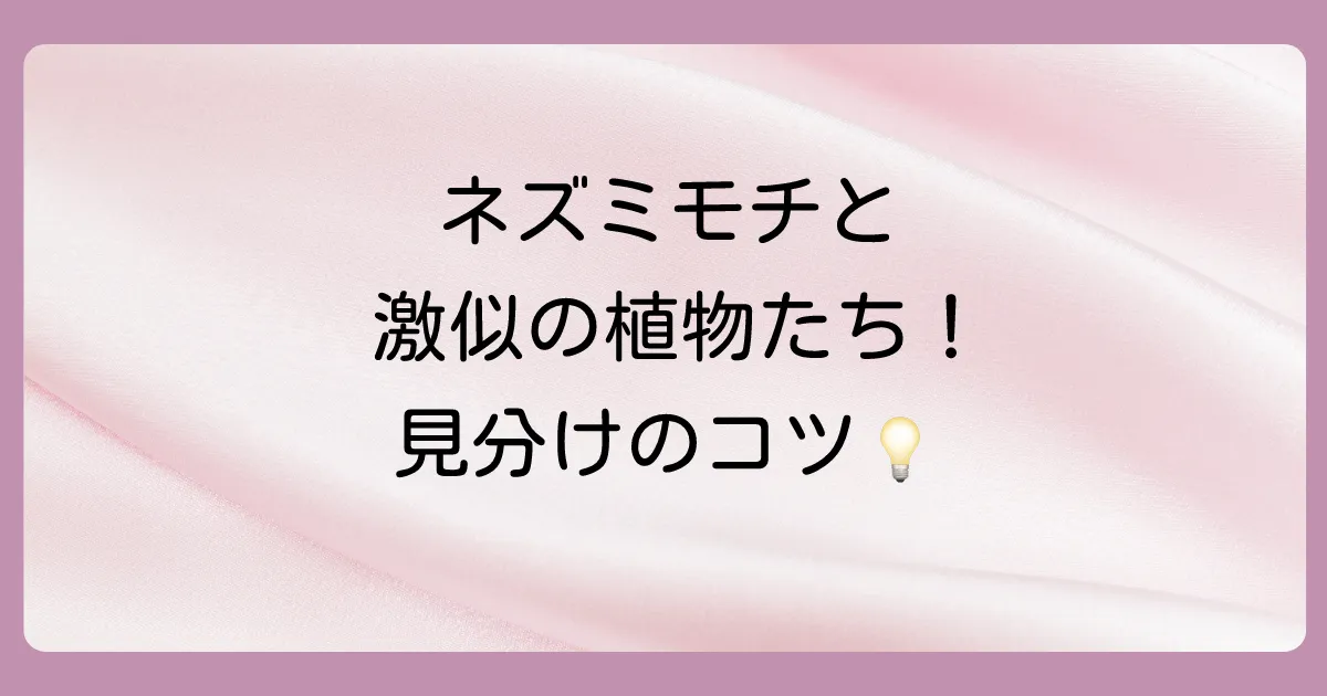 まだある！ネズミモチと間違えやすい木々