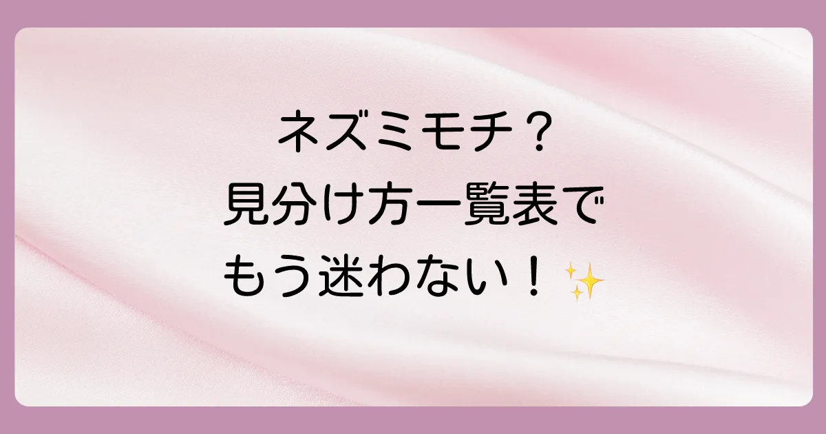 【特徴別】ネズミモチに似た木の見分け方一覧表
