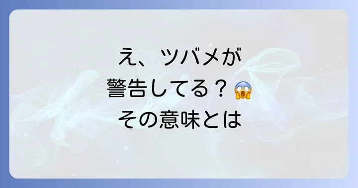 注意が必要？ツバメに関するスピリチュアルな警告