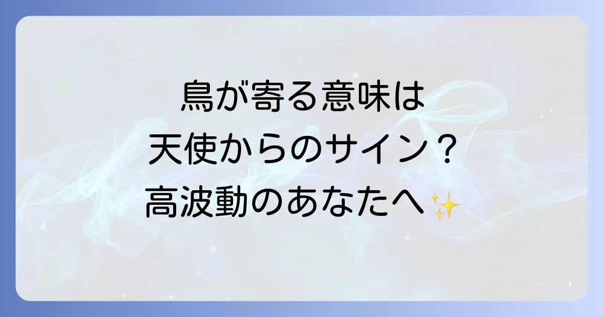 鳥が寄ってくる人のスピリチュアルな意味とは？幸運のサイン？波動が高い人の特徴や鳥の種類別のメッセージも解説