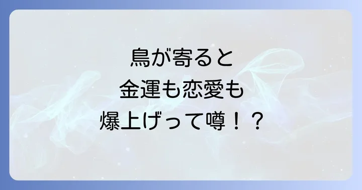 鳥が寄ってくるのは金運や恋愛運アップのサイン？