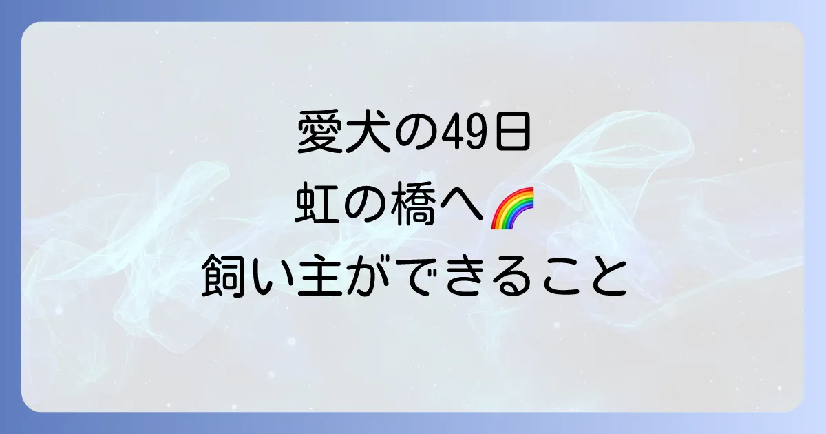 【犬の49日】スピリチュアルな意味とは？虹の橋へ旅立つ愛犬のために飼主ができること