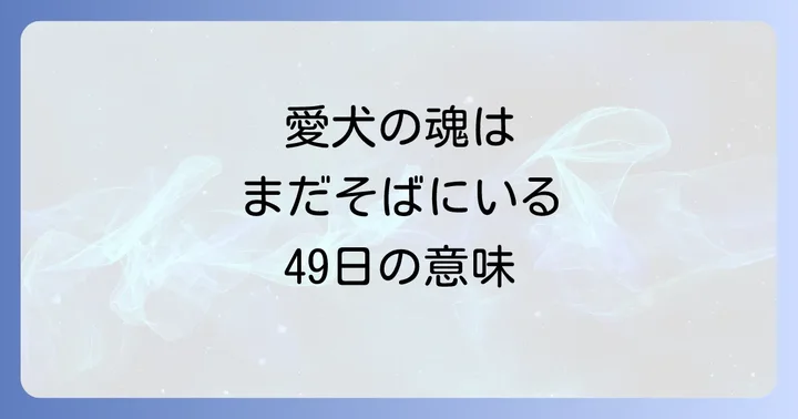 犬の49日|スピリチュアルな意味と魂の旅路