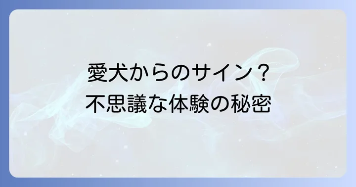 愛犬からのスピリチュアルサイン?49日間に起こる不思議な体験