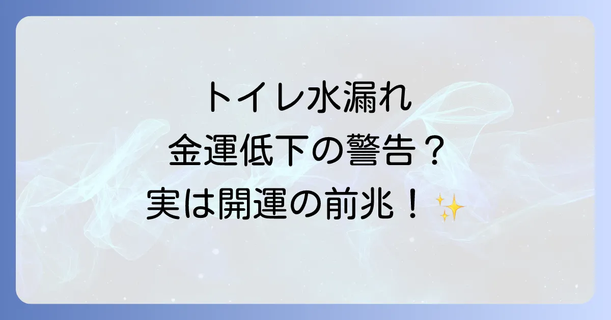 トイレの水漏れはスピリチュアルなサイン？金運低下の警告か、それとも好転反応か徹底解説！