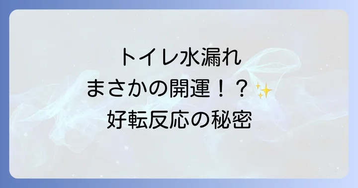 悪いことばかりじゃない！トイレ水漏れのスピリチュアルな好転反応