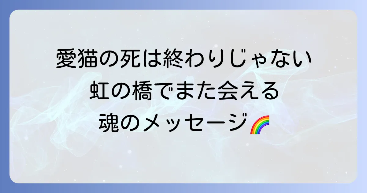 愛猫の死が伝えるスピリチュアルなメッセージとは？虹の橋で再会する日まで