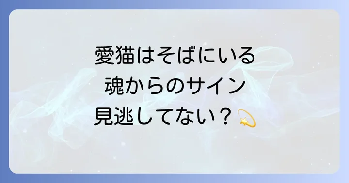 愛猫の死は終わりじゃない。スピリチュアルな世界からのサイン