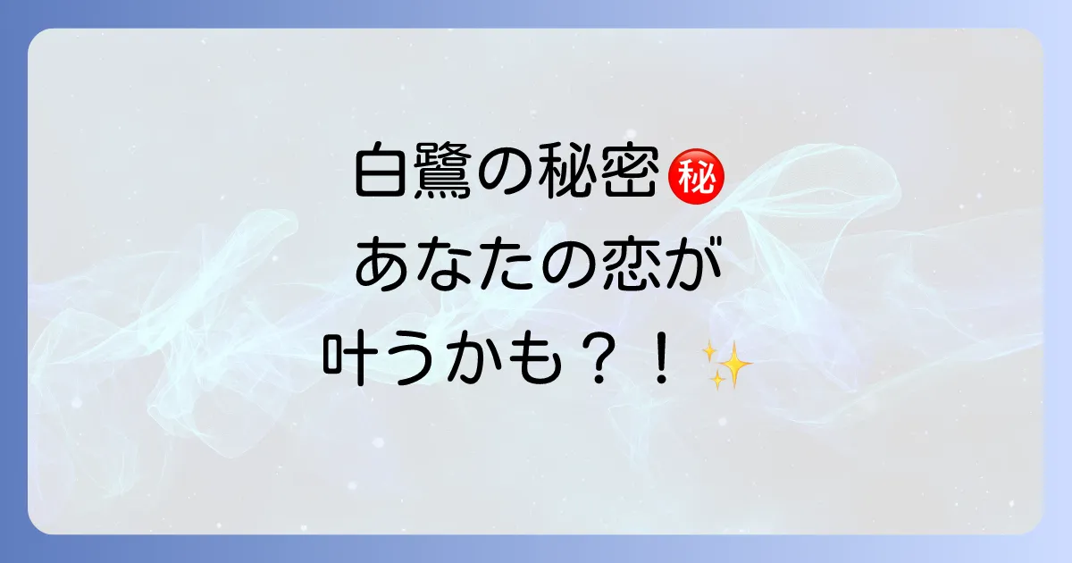 【白鷺のスピリチュアルな意味】恋愛の奇跡を呼ぶ？幸運の前兆とメッセージを徹底解説