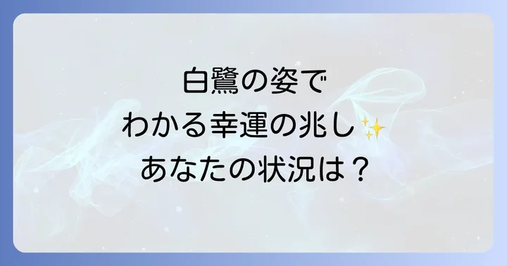 白鷺を見た状況別スピリチュアルメッセージ