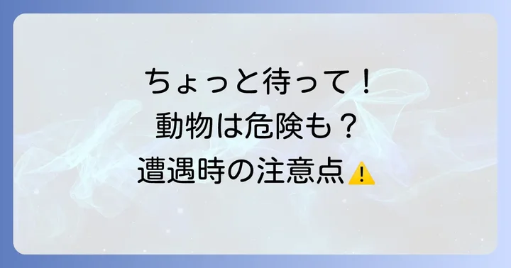 注意喚起!野生動物との遭遇はスピリチュアルなだけじゃない